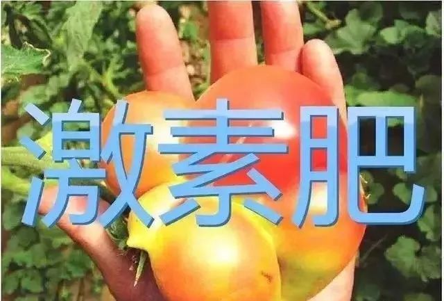 农药|新国家检测标准正式施行，再卖激素肥，不仅罚款还判刑！