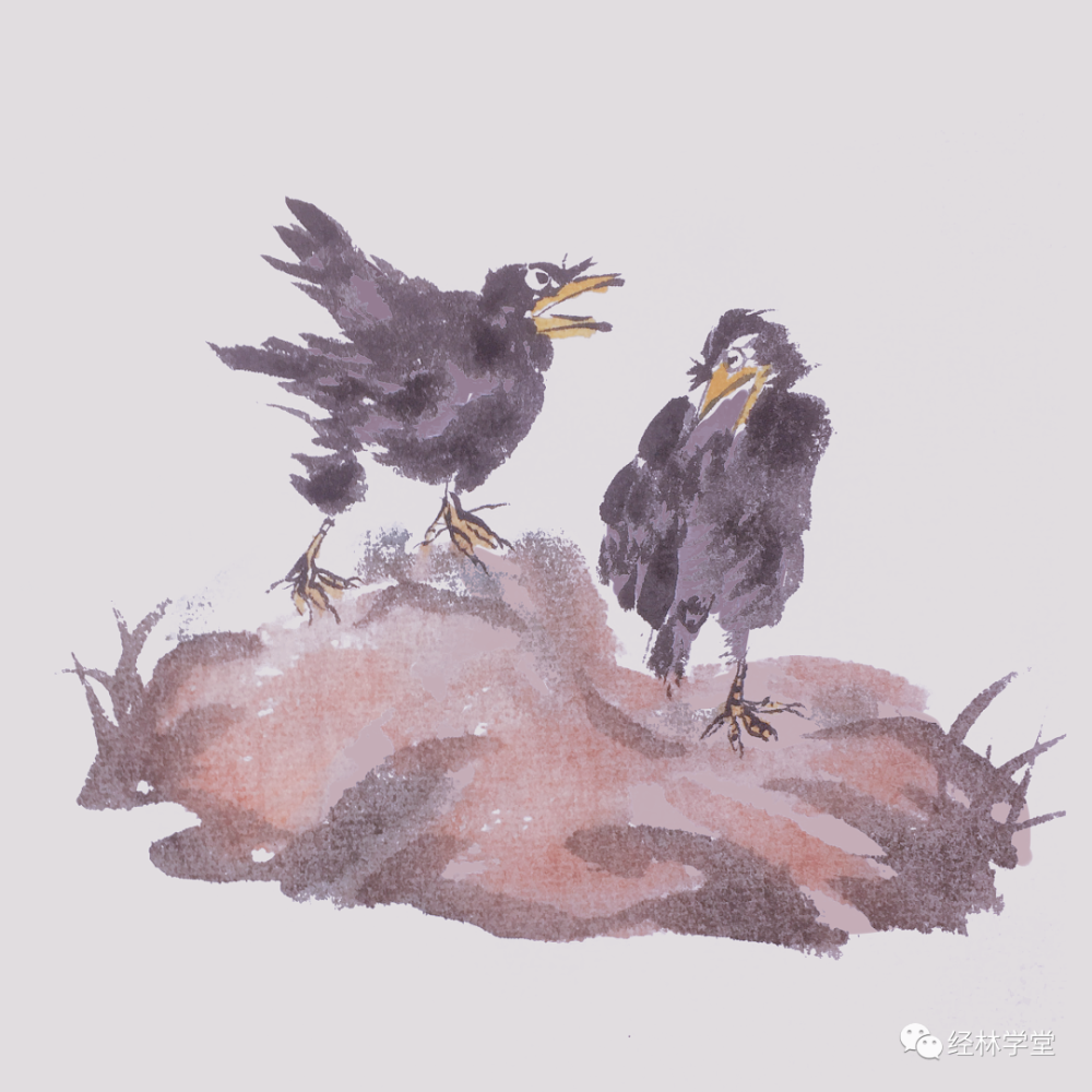 乌鸦也曾被视为一种祥瑞