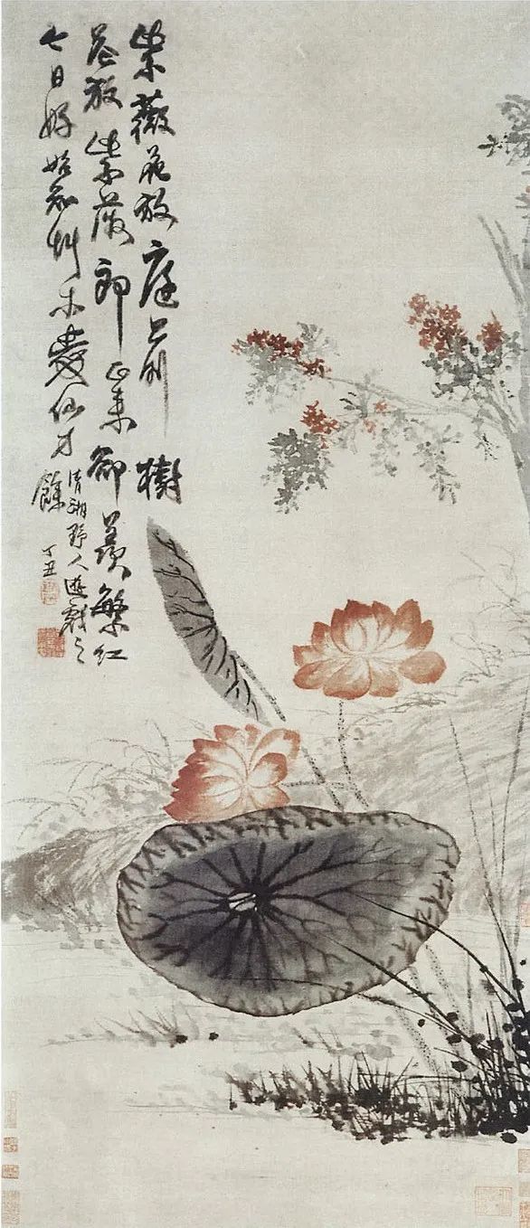 石涛|【别开生面】赏石涛泼墨荷花，真过瘾！