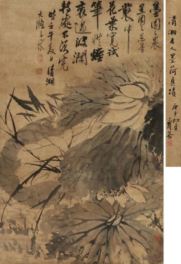 石涛|【别开生面】赏石涛泼墨荷花，真过瘾！