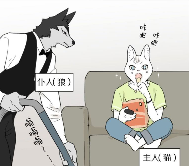 狼仆和猫:没有什么所谓的直男,只是他不愿关心你罢了!
