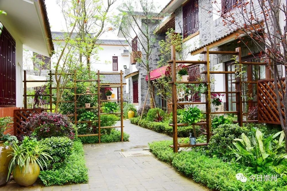 【生态崇州】"小院落"书写乡村振兴"大文章" 崇州的做法让你意想不到
