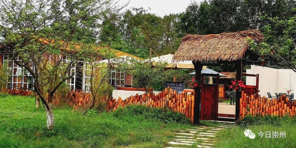 五星村创业带头人高志伟曾是大型企业的高管,回乡创立主题乡村酒店.