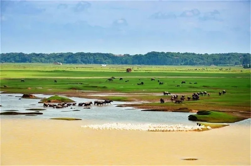 是怎样的一条江 容纳着诗祖 诗圣与诗宗 腾讯新闻