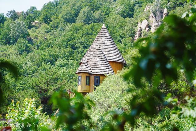 云峰山童话树屋,过独揽湖景置身峡谷森林薰衣草的浪漫周末