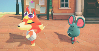 6种居民爱好大揭秘 你家的小动物 竟然喜欢