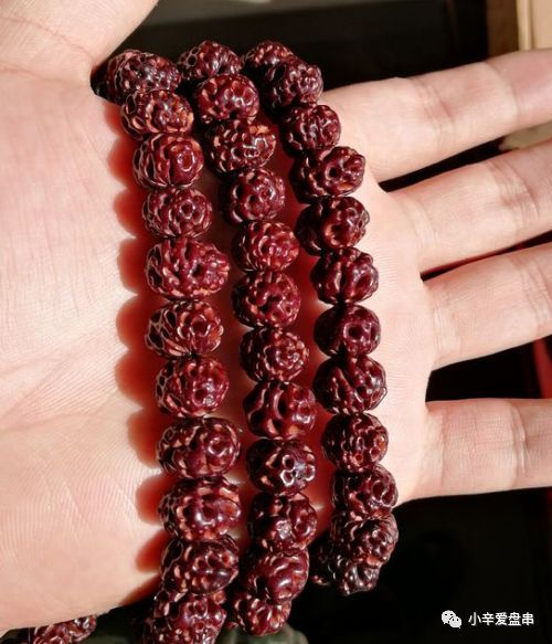 天意是前世的因,人为是今生的努力——天意子菩提
