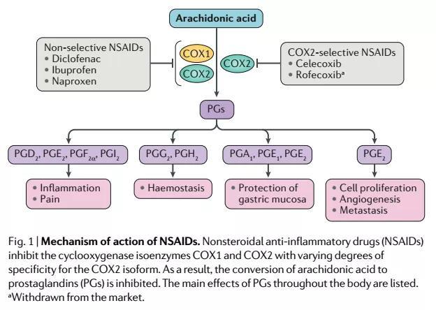 环氧酶(cox)抑制剂,可通过干扰前列环素h2的合成,最终减少各类前列腺