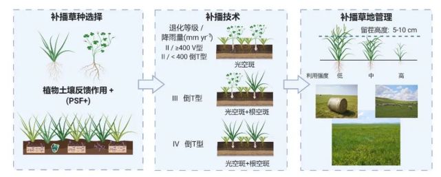 退化草原该如何修复？——免耕补播修复理论与实践_腾讯新闻