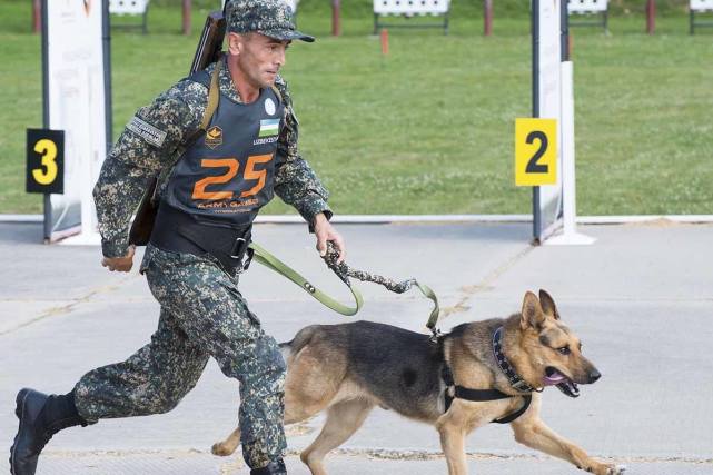 世界头号军犬全身挂满勋章和军衔全国爱戴领袖专门接见