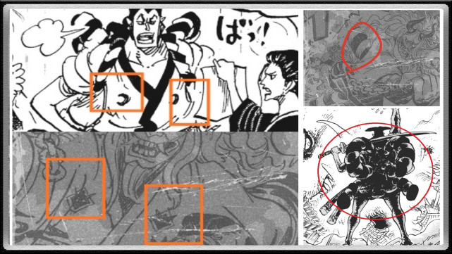 海贼王 凯多的儿子 大和 是光月御田还是阿金 其实都不是 腾讯网
