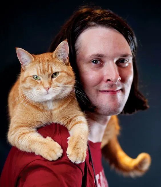 更重要的是,这部电影由鲍勃亲自主演,其本色橘猫的形象,其呆萌的形象