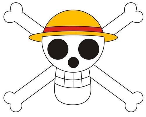 众所周知,路飞的眼光可是相当不错,草帽一伙的每个成员都是有着各自的