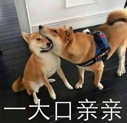 沙雕表情包l我啷个晓得鸭