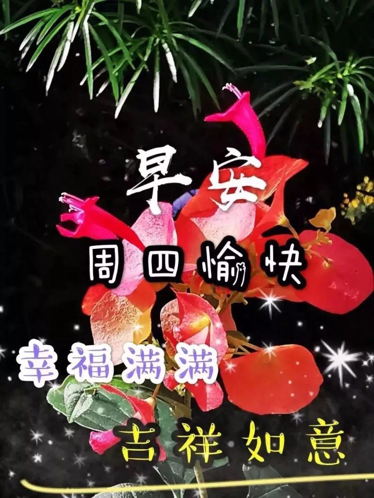 星期四最新早上好問候祝福句子週四最美早安問候祝福圖片