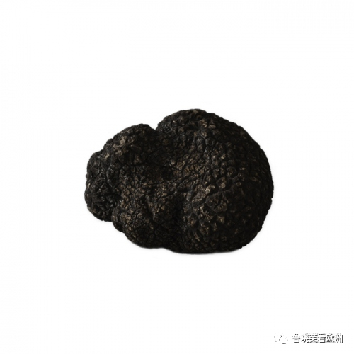 豪生活 世界上最贵巧克力 一口10 白松露 鲁晓芙 欧洲 美食 可可粉 巧克力