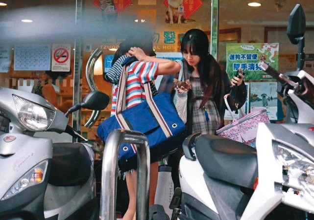 郭碧婷|有情况？郭碧婷屏蔽与向佐恩爱照展示，台媒曝疑患产前抑郁症