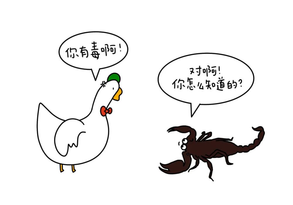 阴险狡诈?蝎子风评被害太久了!