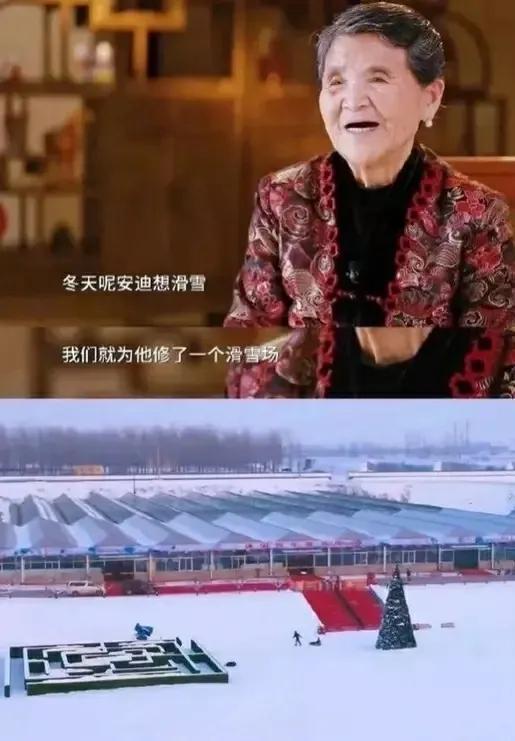 因为身为男孩子的安迪好动,喜欢出去玩,于是安迪奶奶就给安迪建造了一