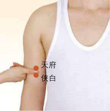 【定位】  在臂内侧面,肱二头肌桡侧缘,腋前纹头下 4寸,或肘横纹上 5