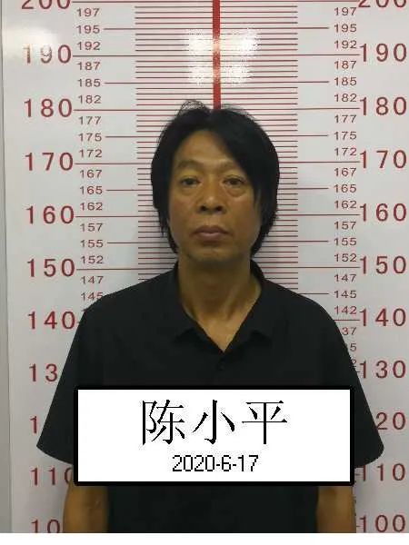 张国保及其团伙违法犯罪线索的公告|衢州市公安局|张国保|陈小平