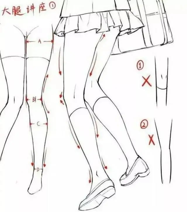 腿部比例素材零基础小白也能学好的人体教程腿部结构的细节分析