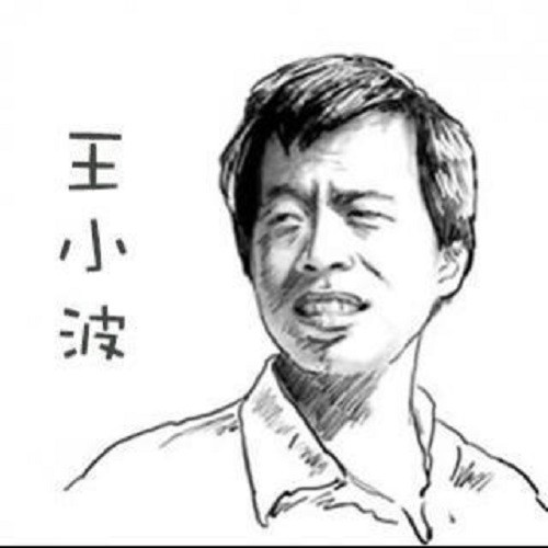 时代》:读着读着就笑了,笑着笑着就哭了|王二|黄金时代|王小波|陈清扬