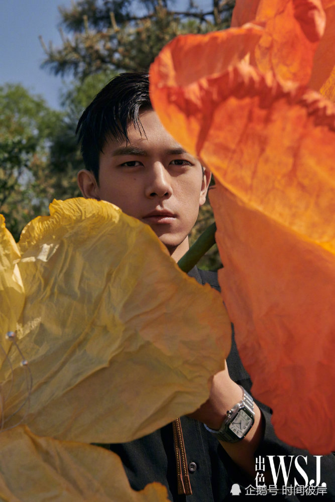 李现午后公园大片-WordPress极简博客