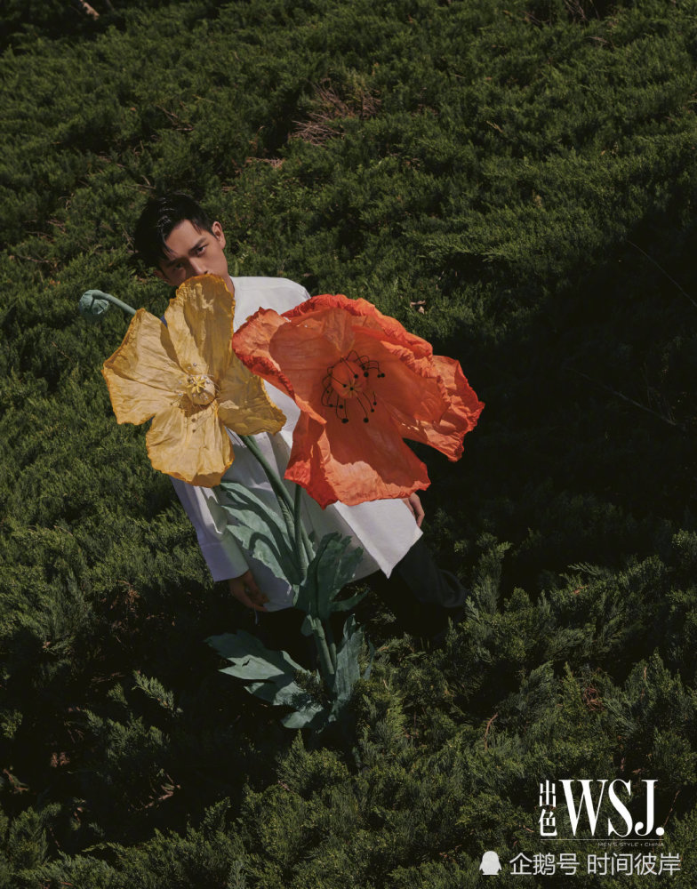 李现午后公园大片-WordPress极简博客