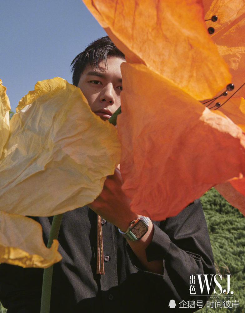 李现午后公园大片-WordPress极简博客