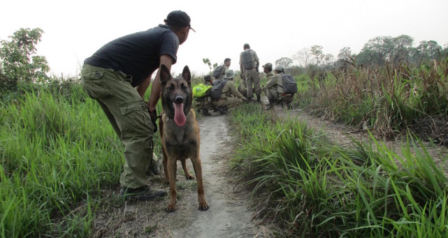 芒戈德市警方目前已就此事件立案,并没收了几名偷猎者使用的枪支.