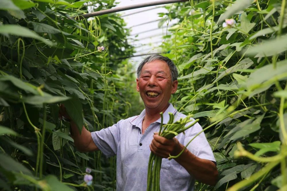 的表情瓜果飘香是夏天最珍贵的馈赠金港镇长山香名扬家庭农场主刘士虎