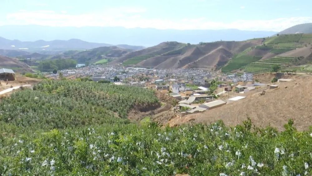 鸡足山镇新川村委会新川八组村民字剑良家贫志坚,不等不靠,凭借自己的