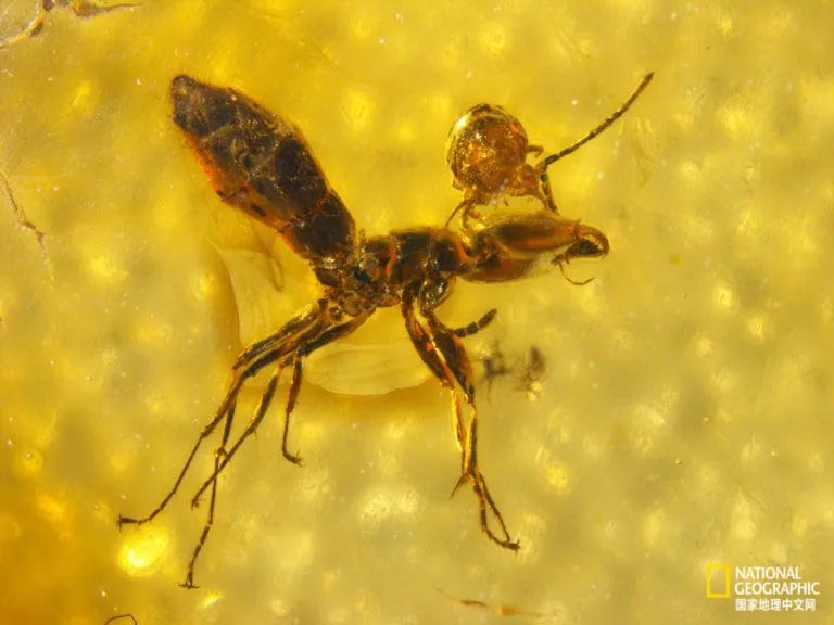 你脸上有个看不见的世界