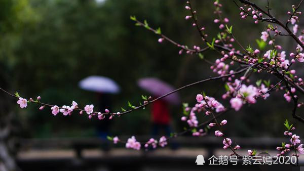 范蠡送爱人西施执行 美人计 千古传颂的爱情 是无奈还是阴谋 腾讯网