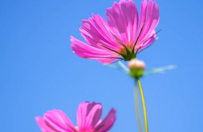 6月19日 以下星座运势 时来运转 开始好运连连 喜事不断 腾讯新闻