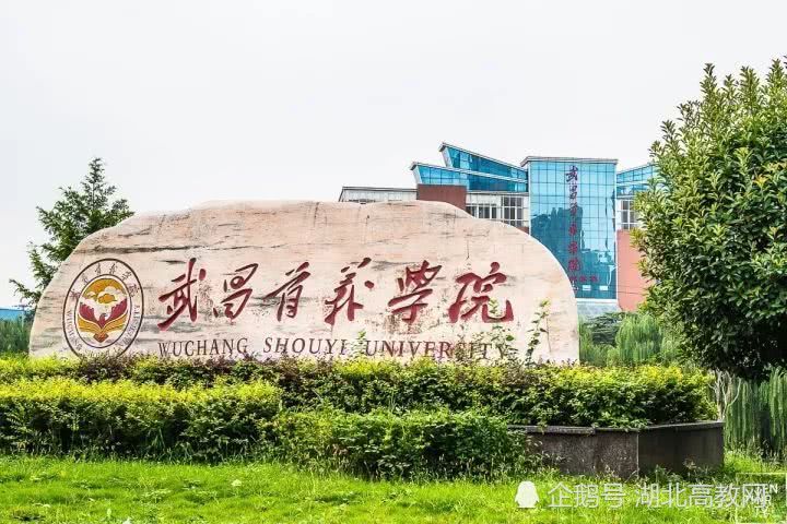 2020cwts中国大学排名_2020中国长三角大学排名发布,复旦大学第1,上海交通(2)