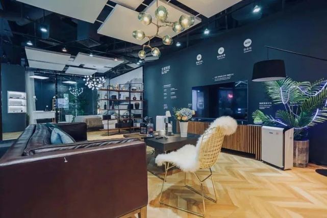 陈燎罕:踩在行业风口期的幸运儿