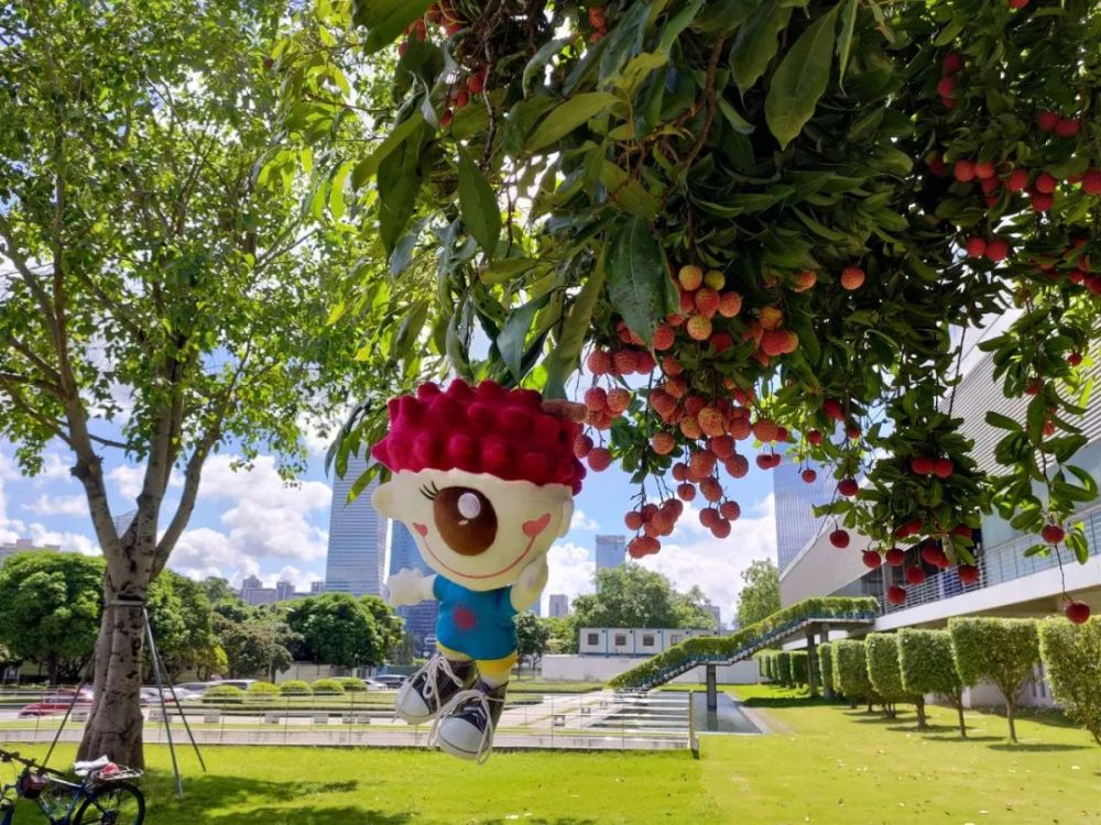 今年因为疫情的原因,虽然深大荔枝节如期举行,但是因为很多同学都没有