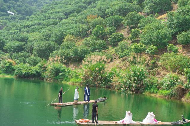 初識白水洋體味當地傳統民俗節日品嚐臨海一絕東魁楊梅