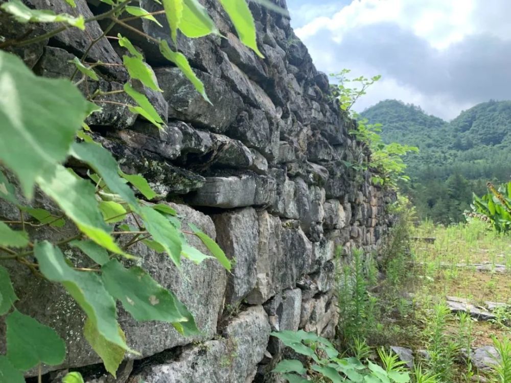 鶴峰文化遺產局王局長和陳館長專門陪我們看了容美土司爵府遺蹟