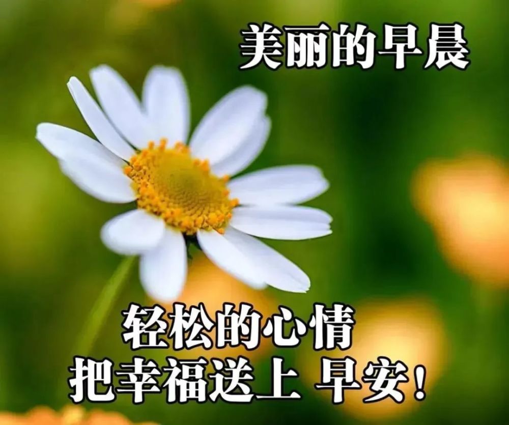 6月特別漂亮的早上好問候動態表情美女圖片,最新的早上好問候語暖心