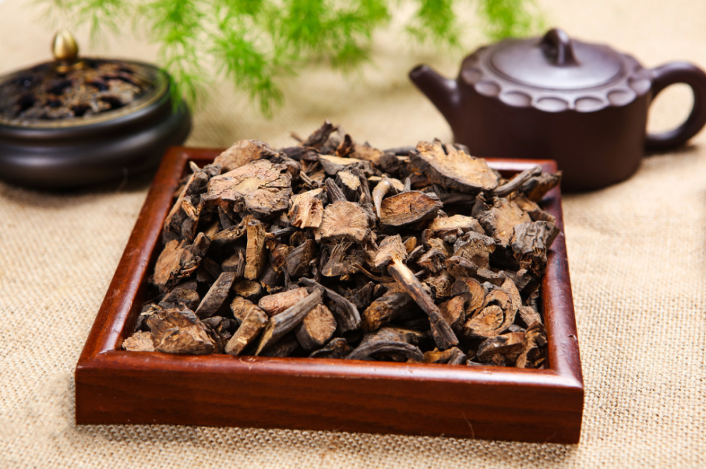 每天学一味中药,地榆!