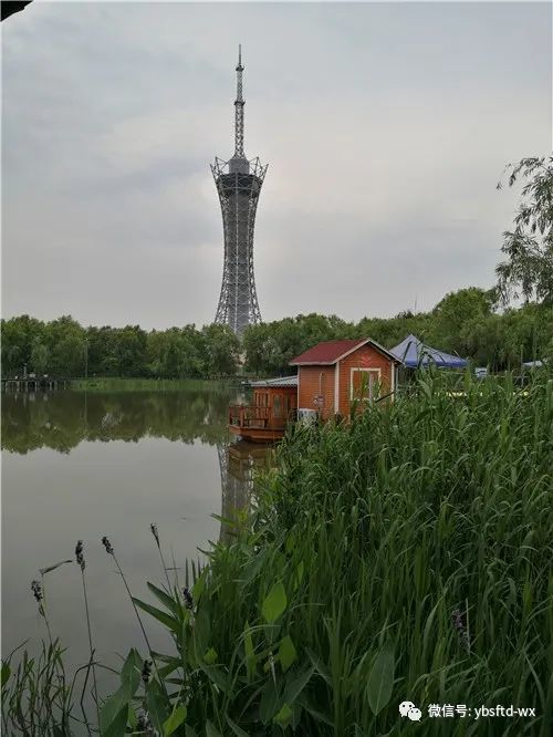 濱江生態溼地公園毗鄰夾江,總面積1100畝.