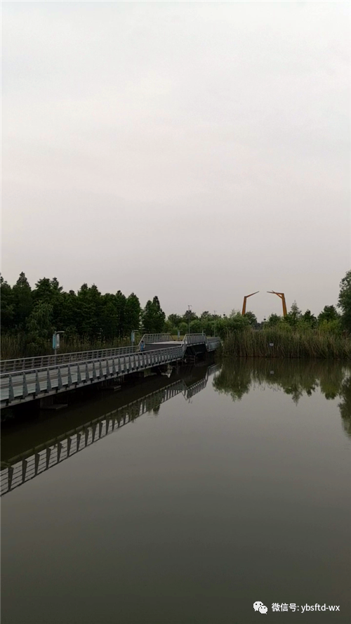 濱江生態溼地公園毗鄰夾江,總面積1100畝.