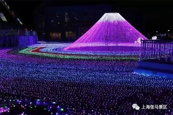 去处‖青浦这处最美乡村,带你做一场蓝紫色的美梦