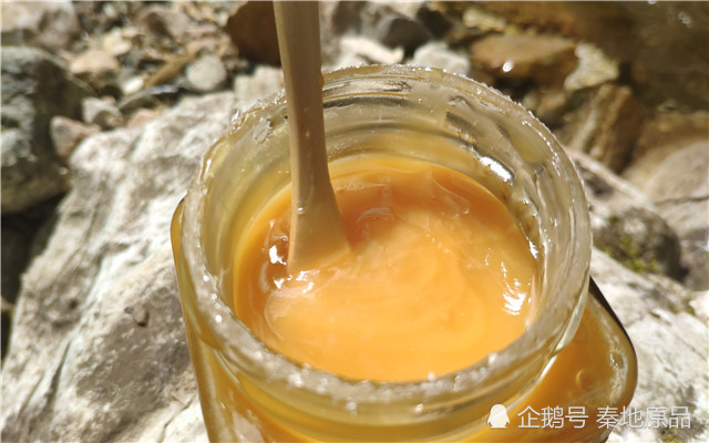 土蜂蜜|说到成熟蜜，为什么大家首先想到土蜂蜜？这个“代言人”可还行？