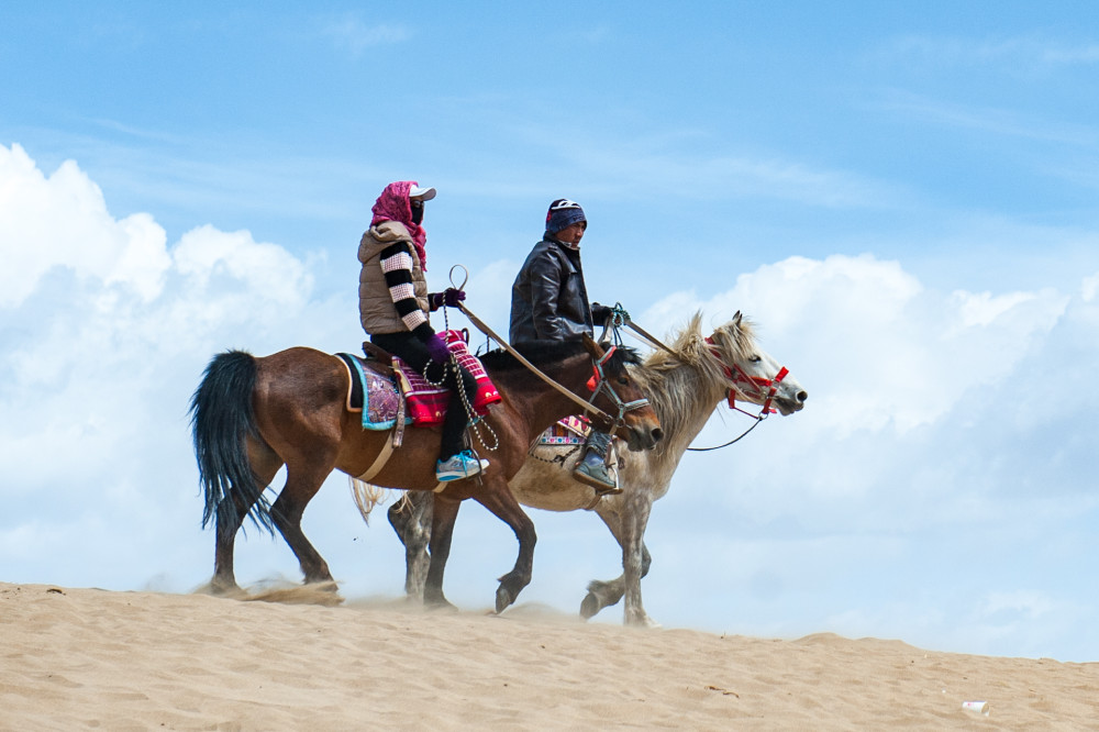 沙漠女游客:看到鼻子中那根木棍,不想骑了_腾讯新闻