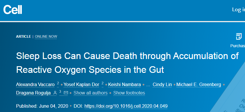 睡眠|不睡觉为何会死掉？睡眠、死亡与肠道之间的神秘联系