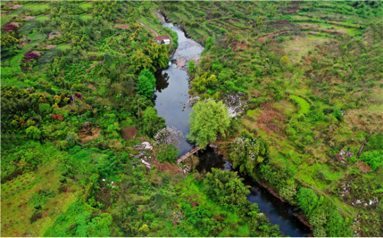 二次创业再出发两江新区水土打造宜居宜业的生态新城